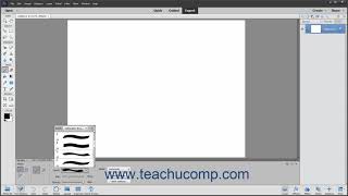 Photoshop Elements 2021 Tutorial Using the Brush Preset Picker Adobe Training