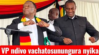 VP ndivo vachatosunungura nyika