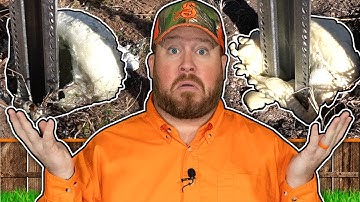 The Ultimate Fence Post Foam Face Off! Sika Pro Select vs Postloc vs Concrete