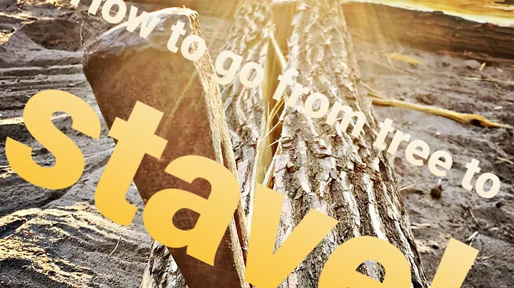 How to Harvest and Split Osage for Selfbows!