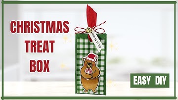 Cutest Christmas Treat Box Ever! Quick & Easy DIY