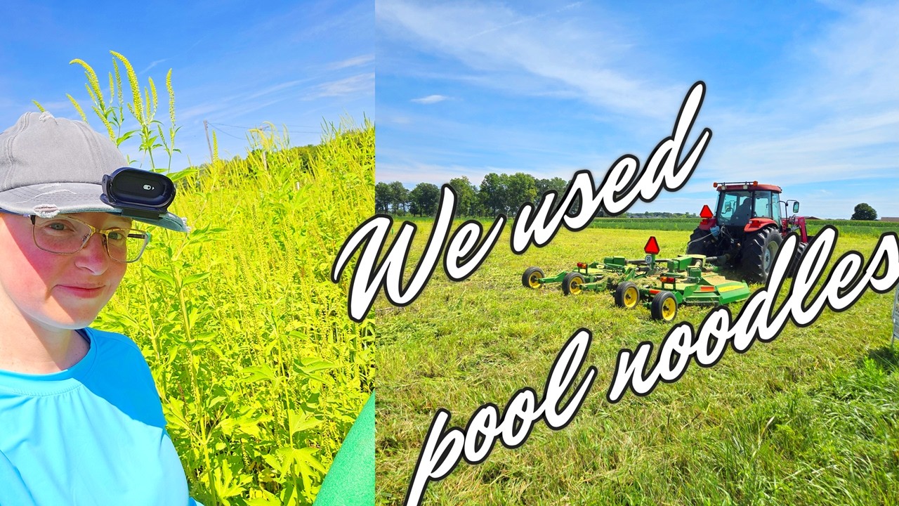 Getting Our 2 Acres Ready to Build! | Finding Stakes in 5ft Tall Grass 😅