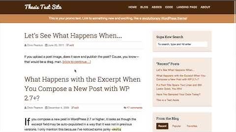 Color Controls in the Promo Skin for Thesis