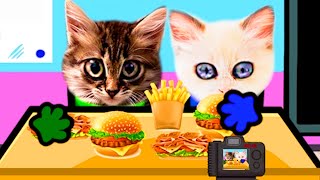 Kittens want to be bloggers. Pushcats Cat cartoon animation