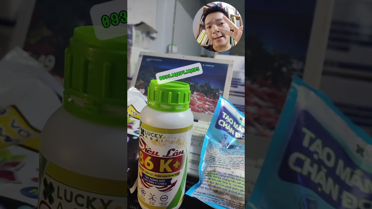 Phần 87: Quy Trình Làm Bông Sầu Riêng Sớm Khi Thời Tiết Chưa Thuận Lợi.