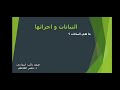 صف ثالث النباتات و اجزاؤها الجذر الساق الورقة 