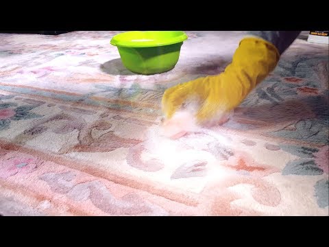Wideo: Jak usunąć świeżą plamę dywanową