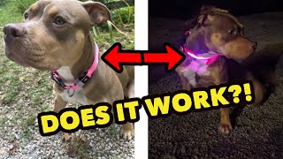 LED Dog Collar - Amazon Product Review