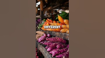 How Ancient Polynesians Spread Sweet Potatoes Across the Pacific #ancienthistory