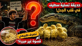 🚨 ما يحدث داخل حديقة سطيف صدم الجزائريين..     ما الذي يحدث للصيصان ؟