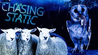 Dont Trust The Sheep They SUMMON spirits 🗼 Chasing Static Part 2