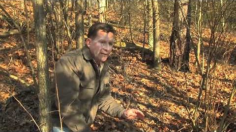 9. Marcellus Shale Development: Impacts to Soil Chemistry