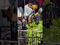 Jai Shani Dev ki #virel_video #music #hindisong