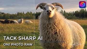 Tack Sharp AI In ON1 Photo RAW 2023 - A Deeper Look