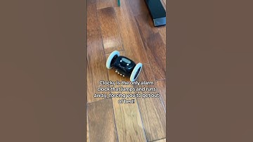 MORNING HACK for hard to wake up people! Meet The Runaway Alarm Clock on Wheels for Heavy Sleepers