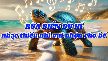 ✅ Bài Hát RÙA BIỂN DU HÍ – Nhạc Thiếu Nhi Vui Nhộn Cho Bé | BinTV