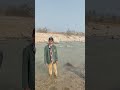 School picnic