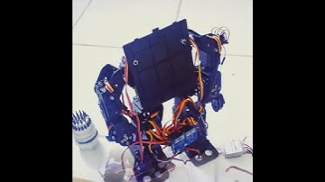 14DOF Robot: Cosmetics changes
