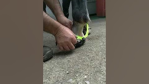 TUTORIAL Explora Magic - Ajuste lateral del protector de pulpejos