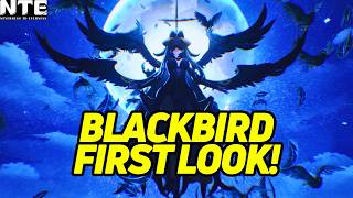 BlackBird Skills First Look! - CN Breakdown and First Impressions【Neverness To Everness】