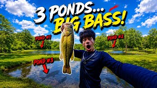 Triple Pond Hopping for GIANT Summer Bass!