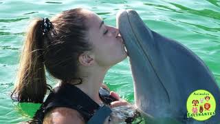 La inteligencia de los delfines y sus sorprendentes trucos #animales #fascinantes