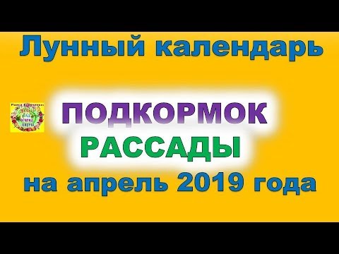 Лунный календарь подкормок рассады на апрель 2019 года. Обязательно удобрите растения.