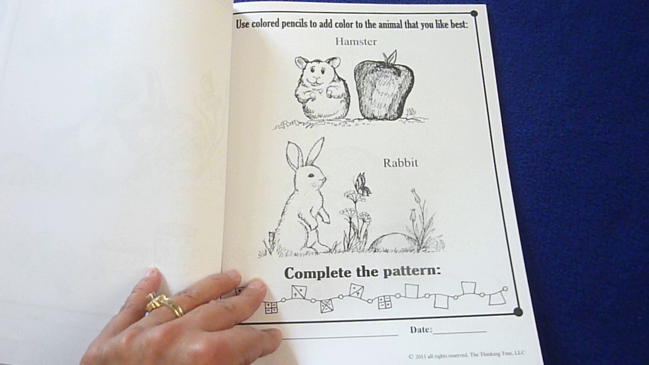 Dyslexia Games Series B ~Book 5: Animal Art