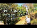 【お山の暮らし 052】長年庭木を放置するとこうなります 60代シニア夫婦で膨大なツル剝ぎ取り大作戦!!