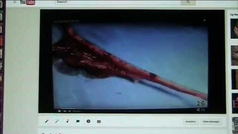 Mudfossil U  Part 2 the proof rocks were alive is chemistry ...