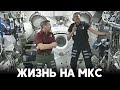 Новый экипаж космической станции делится впечатлениями