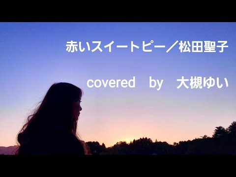 【フル歌詞】赤いスイートピー／松田聖子　　covered by 大槻ゆい