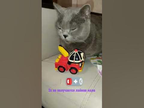 помоги пожалуйста - YouTube