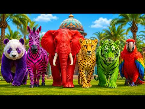 Long Slide Game with Dinosaur Lion Cow Hippopotamus Gorilla 3d Animal Game Funny 3d Animals