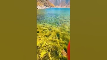 new short video #youtubeshorts #smartphone #shortvideo