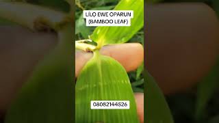 solution to high blood pressure #hypertension #yorudaherbs #fyp #healtcare #health #millionviews