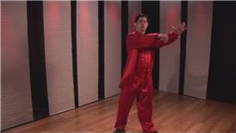 Kung Fu : Palm Block, Hook Punch, Sitting Stance & Double Arm Smash Combo