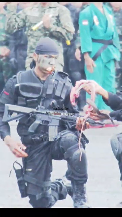 Story WA keren TNI AD‼️ Intai Tempur KOSTRAD Pasukan khusus #shorts #tni #jedagjedug #status #story