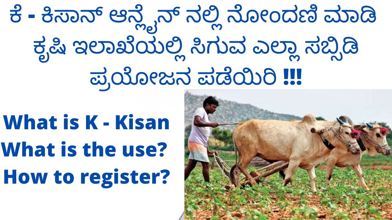k-kisan-what-is-k-kisan-all