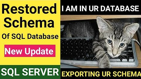 Backup and Restored SQL Database Schema || Refresh SQL Database schema from Prod to Dev @TechandArt