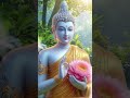 Thiền và tĩnh tâm | Bí quyết để thanh thản và an bình trong cuộc sống.  #tamanlac #baihoccuocsong