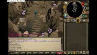 Runescape: Grotworms Guide