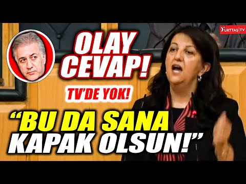 Pervin Buldan'dan Tamer Karadağlı'ya çok konuşulacak Nihal Yalçın cevabı! \