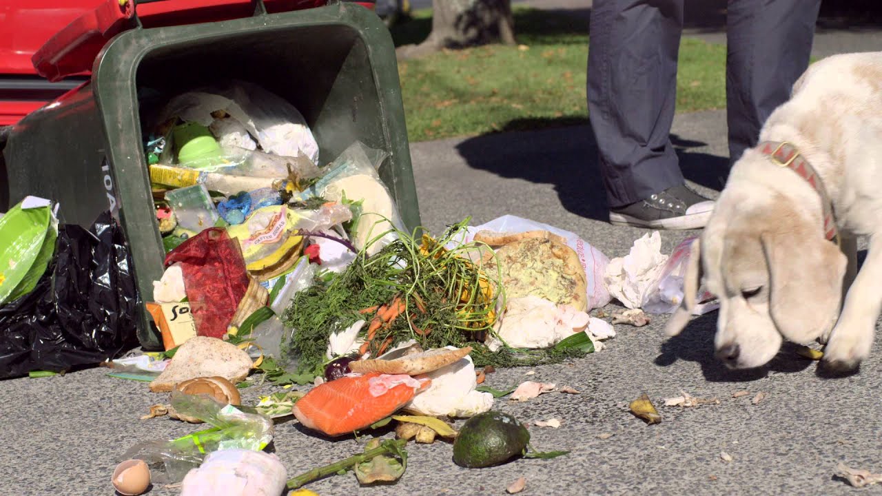 InSinkErator - Food Waste Disposer 30" TV Commercial