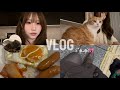  【VLOG】田舎住みオタク現場ない日なんもすることない