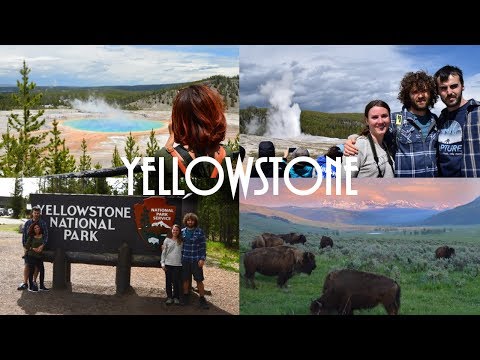 Video: Parco Nazionale Di Yellowstone Sta Assumendo