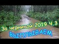 За черникой в тайгу. Ч.3 - выплываем из черничника. Домой. (07.19г.) Семья Бровченко.