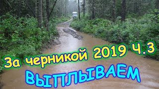 За черникой в тайгу. Ч.3 - выплываем из черничника. Домой. (07.19г.) Семья Бровченко.