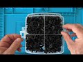 PARKSIDE Fastening Clips & Cable Ties - 630 Pieces