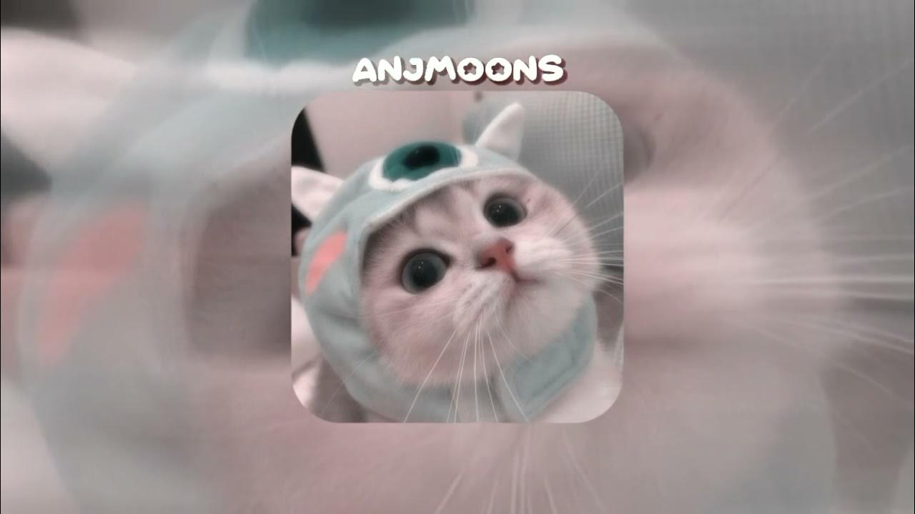 Fast Forward (speed up) ^••^ YouTube